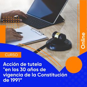 Accion-de-tutela--en-los-30-años-de-vigencia-de-la-Constitucion-de-1991”