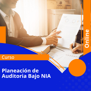 Planeacion-de-Auditoria-Bajo-NIA